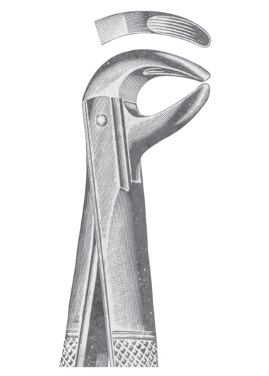 AI-DM-1135 